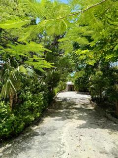 Natural Mystic Exuma - 8