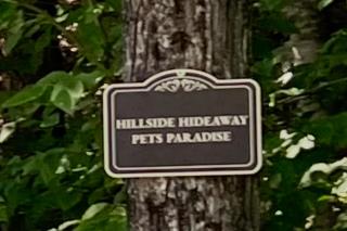 Hillside Hideaway - 3