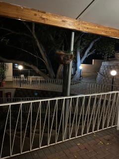 Hotel Pension Casa Africana - 3