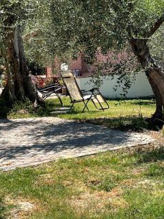 Rifugio tra gli olivi in campagna Toscana - Marti - 6
