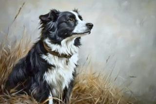 Argos, in nature - 4