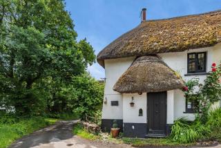 Jasmine Cottage - Winkleigh - Broadwoodkelly - 0