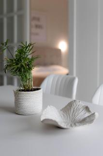 A Homes Greece - Modern Kalamata Apartment Bright & Spotless with Garden Balcony, Near City - 4