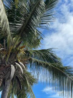 Auberge des Cocotiers du Sine Saloum - Fatick - 4