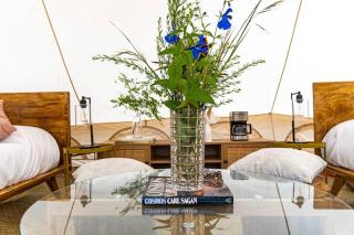Glamping Ensueño en Omitlán Naturaleza y Confort - Omitlán de Juárez - 6