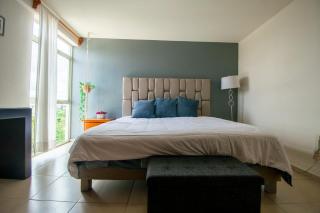 Departamento grande en Lomas San Luis - 0