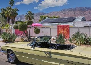 Birdcage Palm Springs - 0