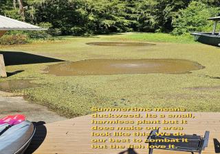 Waterfront Paradise Kayaks & Private Boat Ramp - Cordele - 6