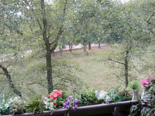 Meadow View 10 - Krakow - 5