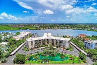 Turquoise Turtle - Siesta Key - 7