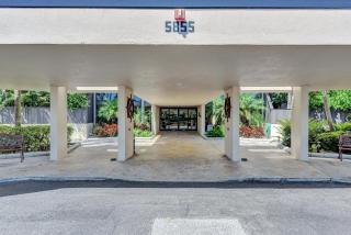 Turquoise Turtle - Siesta Key - 3