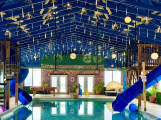 Attitude Adjustment Cabin with hot tub fire pit & indoor pool - 0