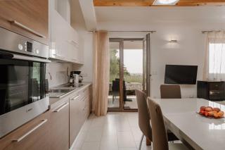 Villa La Vigna Blu - Višnjan - 7