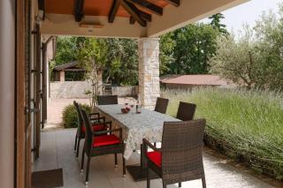 Villa La Vigna Blu - Višnjan - 4