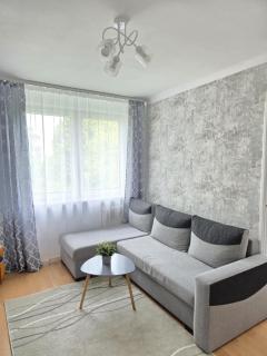 Cental Rose Apartments - 0