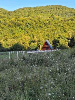 Whisper of the Pliva - - 2