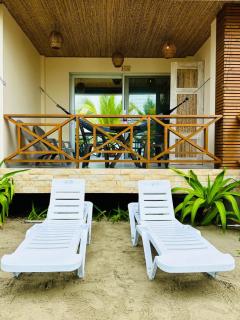 Aves de Laguna Beach - 4