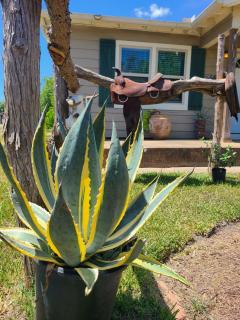 Cowboy Cottage, Country Charm - 4