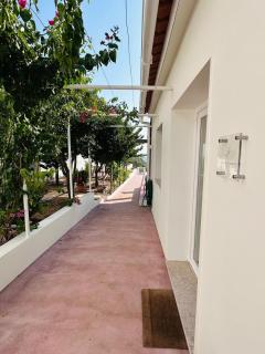 Lezíria Houses - Ribatejo - Chamusca - 2