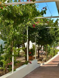 Lezíria Houses - Ribatejo - 4