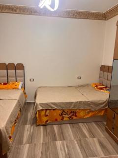 Fully equipped luxury aparthotel - Tanta - 5