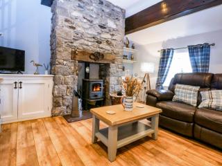 Cosy Cottage - Menai Bridge - 9
