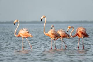 H Boutique Casa Noma-Noma Holbox - 6