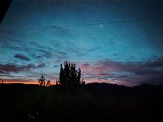 Sweet Forest-Domo Sol - 3