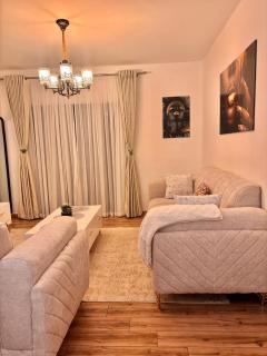 Snyder luxe homes - Tatu City - 8