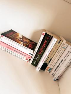 Donkey dune - De Panne - 2