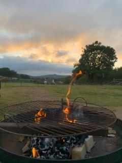 Rosies - Liskeard - 4