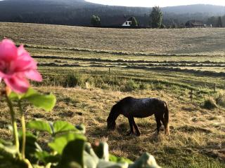 La Maison d Ange Lou - 1