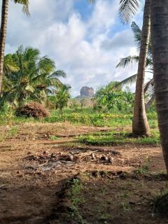 Relax garden - Sigiriya - 0
