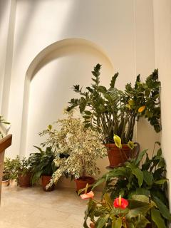 Casa Stella - 8