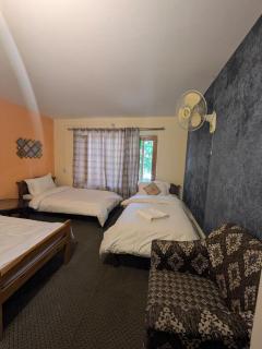 White Apricot Lodge - Baltit - 2