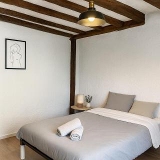 Logement historique - Maison David d Angers - 2