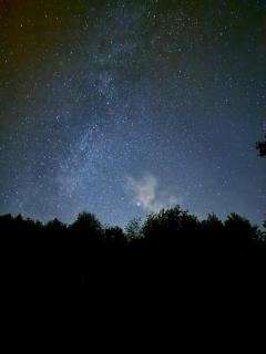 Cottage With Sauna, Pub & Terrace - 7