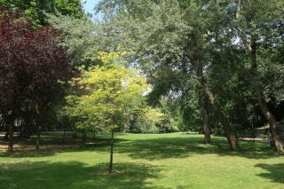 Oasis of light - 8