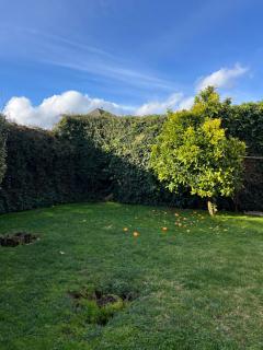 Casa amplia con excelente ubicación - 2