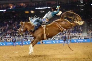 Texan Backyard Vibes l Cowboy Pool & BBQ l Pet-Friendly - Houston - 8