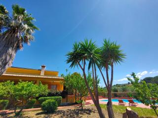 Villa degli ulivi - 5