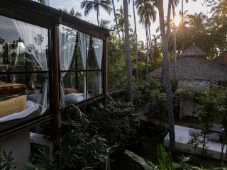 Templo Retreat, 5 Units, Pool, Yoga Dojo, Icebath, Sauna - 6