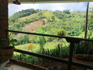 Bosque Místico - 2