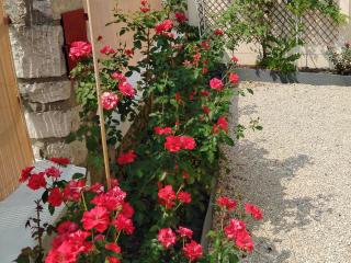 Gîte en bord de Loing à Montargis - Nature, culture et détente à une heure de Paris - FR-1-590-423 - Montargis - 3
