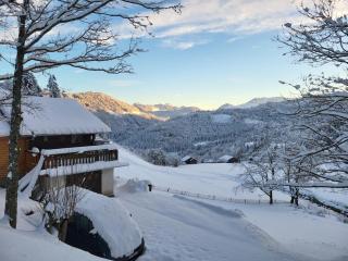 Chalet Chamois & Spa - 5