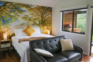 Hideaway Falls - Piccabeen Cabin - Mapleton - 9