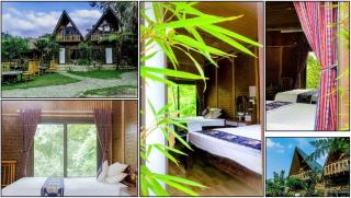 Ba be farmstay - Ba Be - 6