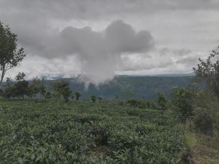 Hill garden homestay,Vagamon - 8