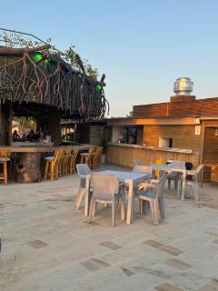 Aves de Laguna Beach - 1