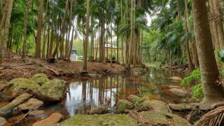 Mt Tamborine Stonehaven Manor - 1